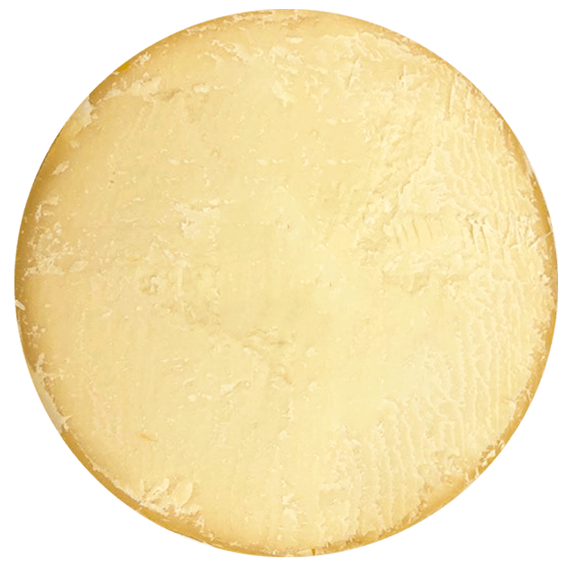 Сыр в разрезе